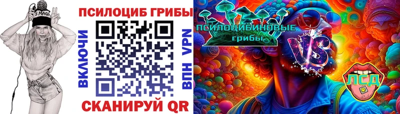 Псилоцибиновые грибы Cubensis  Балабаново 
