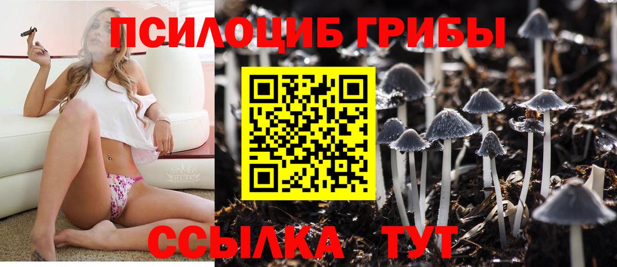 Галлюциногенные грибы Cubensis  Галлюциногенные грибы GOLDEN TEACHER  Вход с VPN  Балабаново 