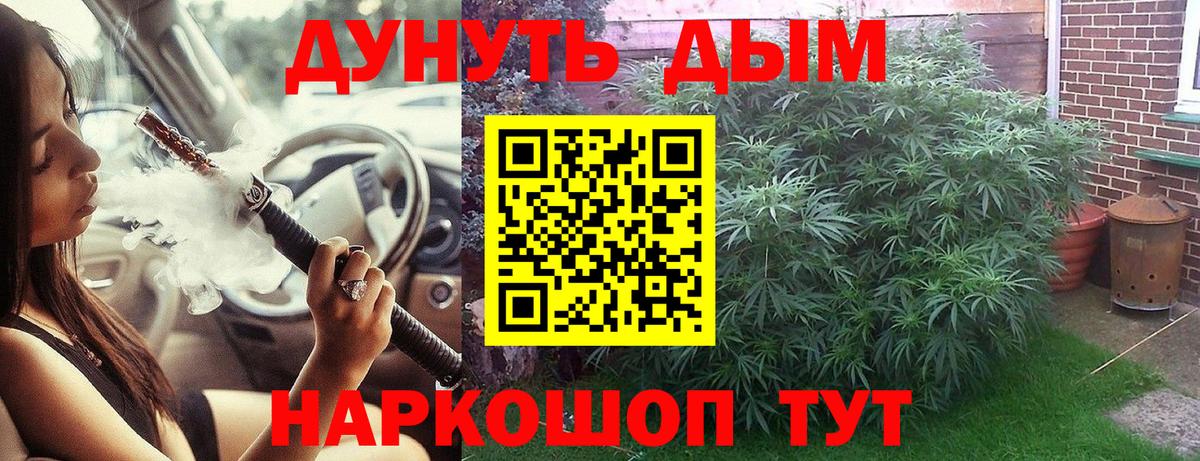 Конопля гибрид Балабаново